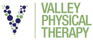 Vally Physical Therapy Logo